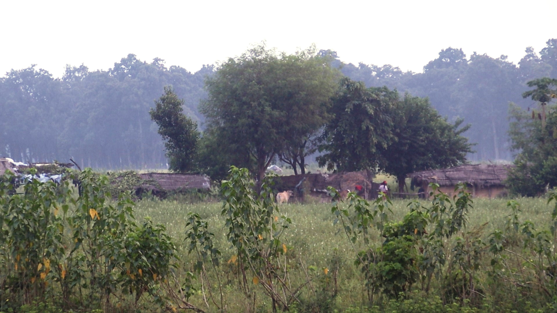 कञ्चनपुरका आरक्षपीडितको व्यवस्थापनका लागि कहिले बन्ला ३२ औँ शक्तिशाली आयोग ?